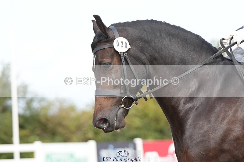 250906-111425-01963 - 030-Rebecca.Ezra.-.HamMaesmynach.Mr.Sam