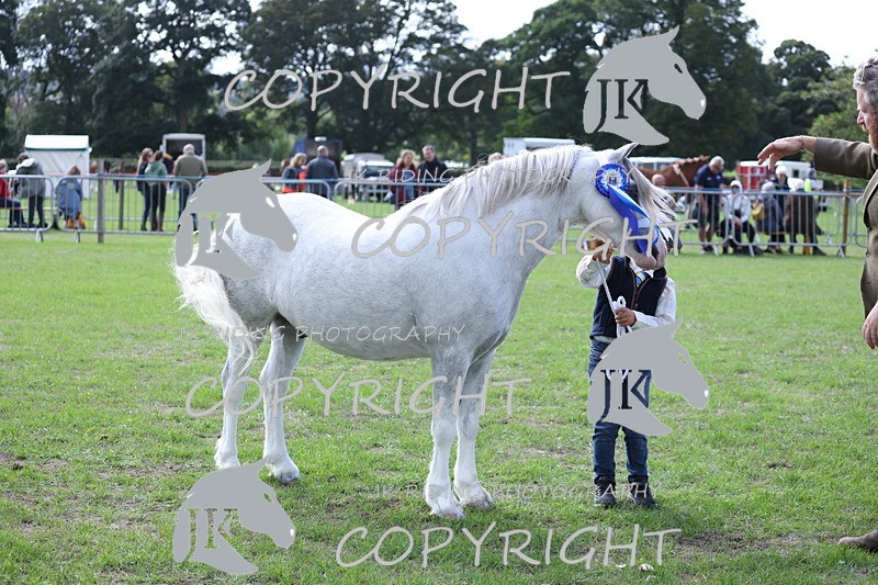 APP_2975 - Class 10a/b M&M in hand