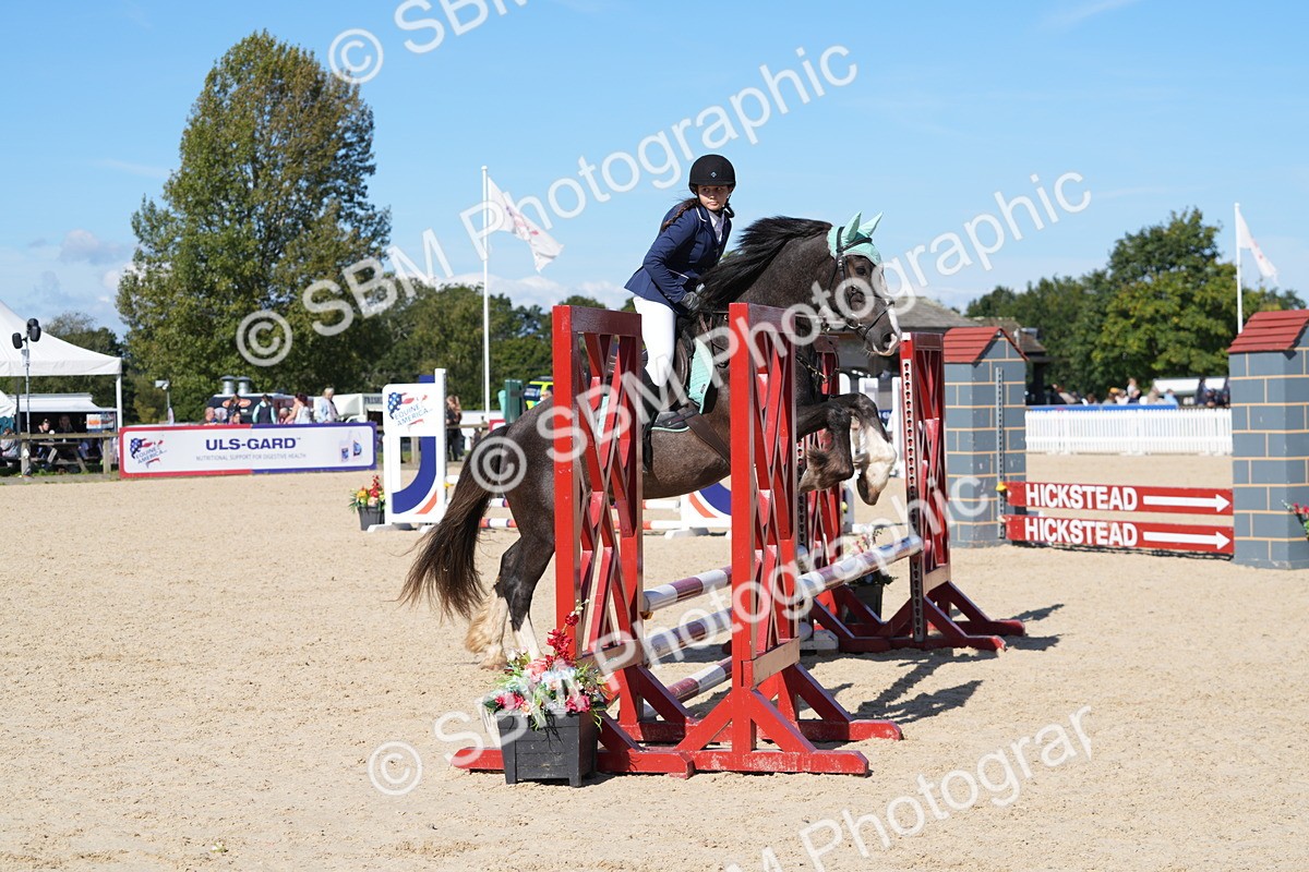 SBM_38762 - J21 - Junior Horse 60cm Championship