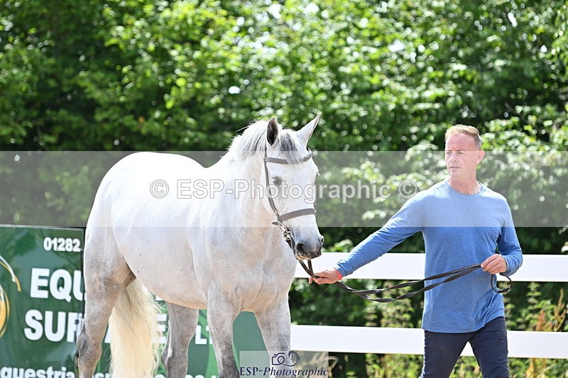 240717A-144903-02315 - Trot Up 2pm to 3pm - This folder is not in time order