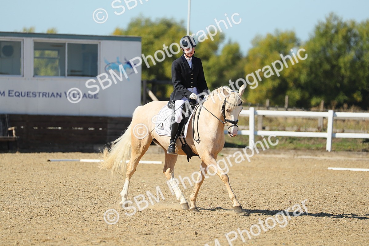 SBM_001355 - Class 5 - N5