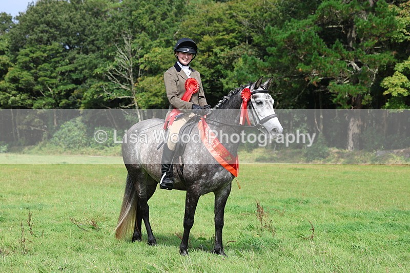 3E7A6164 - Working Hunter Championship