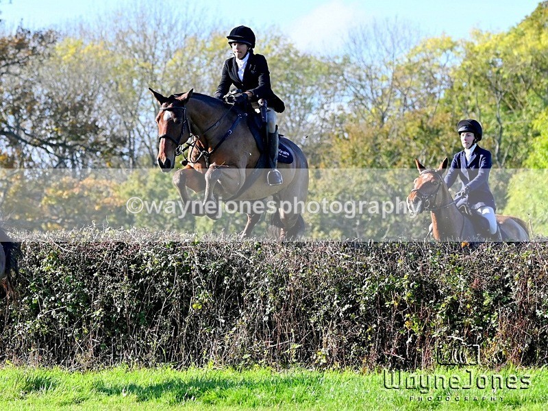 WJ6_4940 - Edited examples