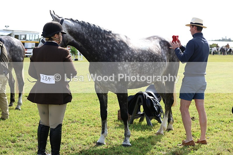 3E7A8898 - Class 3: Rising Star S/L Hunter