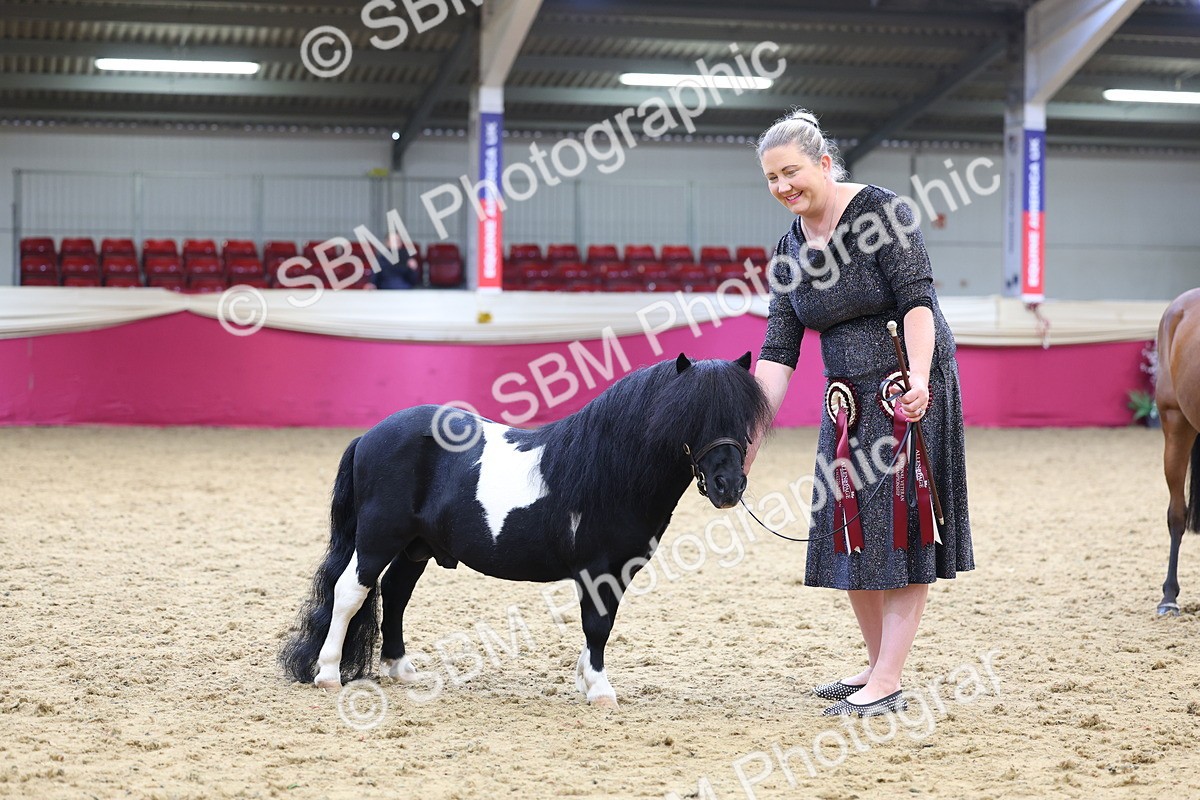 SBM_23030 - Class 903 - Supreme Final - IH Pre Vet