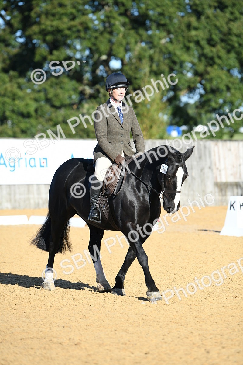 SBM_16071 - D4 - Small Tour Championship - Intro B