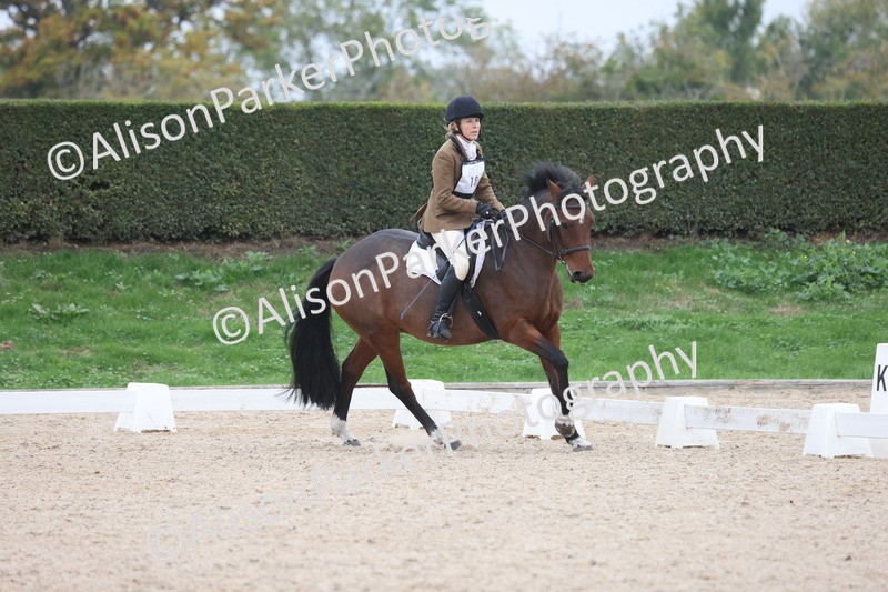 20251011-0508 - Class 5 - Novice 3