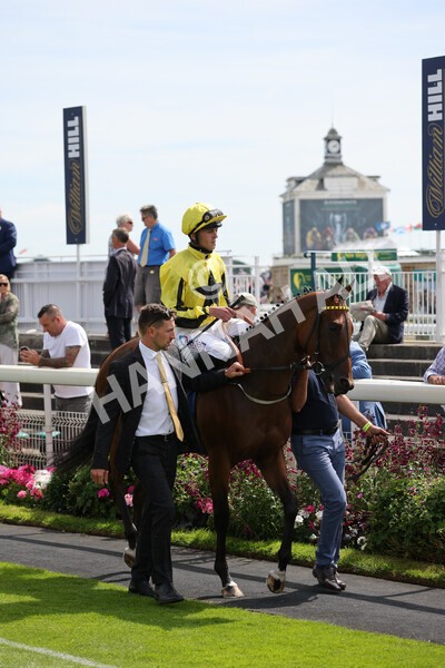 yr08072022r3-7 - Race 3 3.15pm William Hill Play Responsibly Irish EBF Novice Fillies Stakes