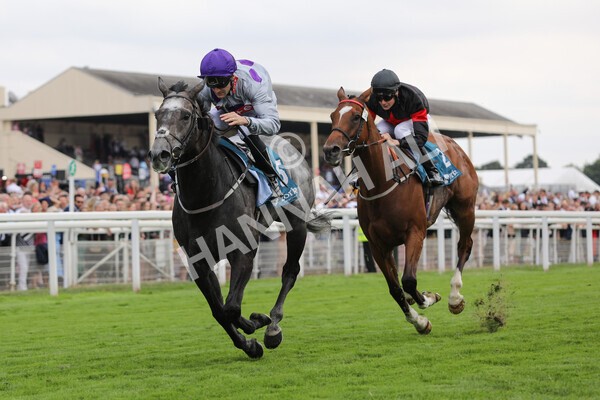 yr23072022r6-27 - Race 6 5.00pm Sky Bet Partnership with Support Dogs Stakes