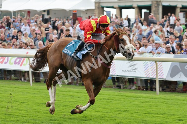 yr04092022r3-23 - Race 3 2.55pm The Elevator Company Garrowby Stakes