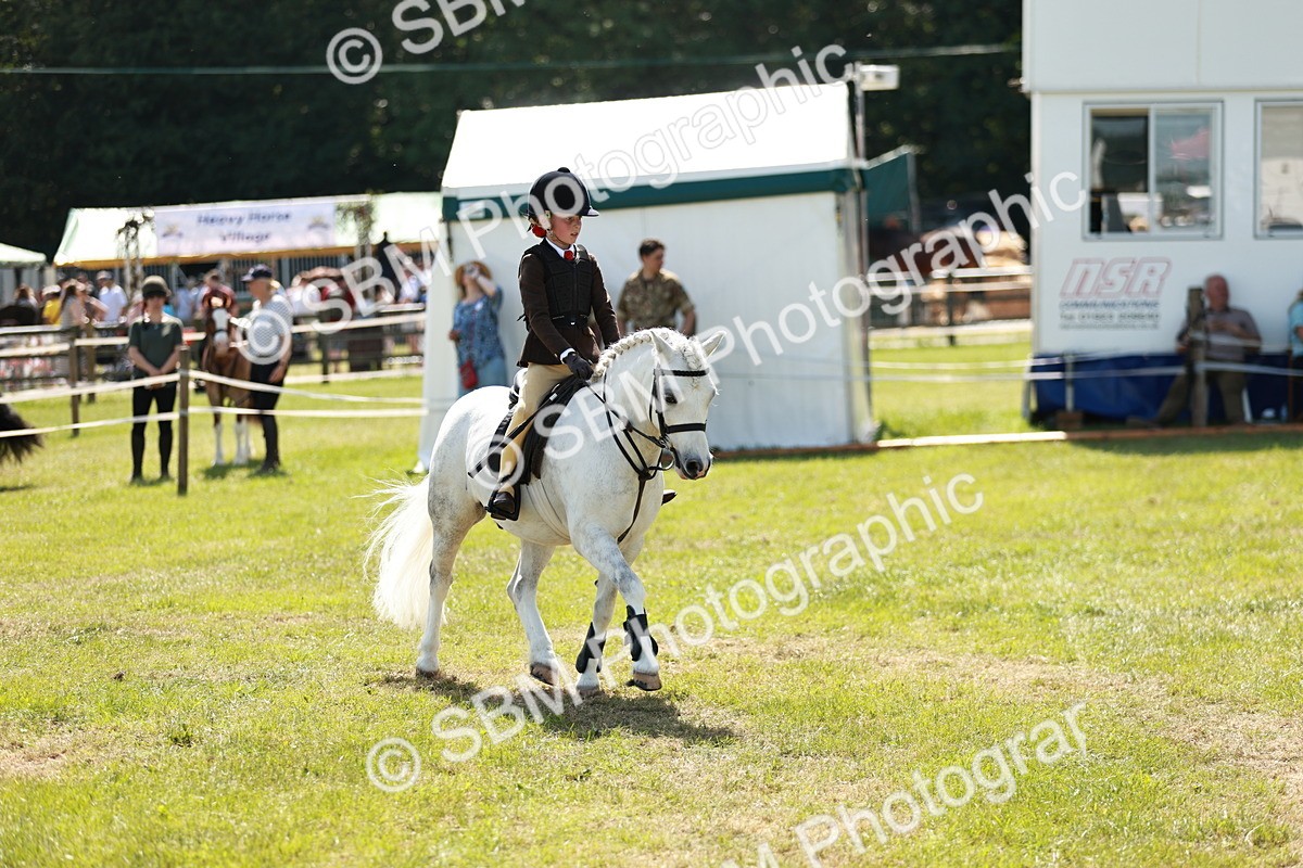 SBM_13546 - Class 108-109 - BSPS LIHS Open Gradle & Nursery Stakes
