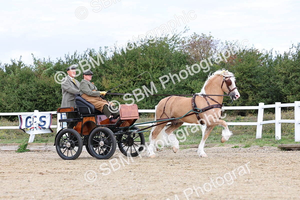 SBM_000753 - Class 6 - Exercise Vehicle 13.2 and over