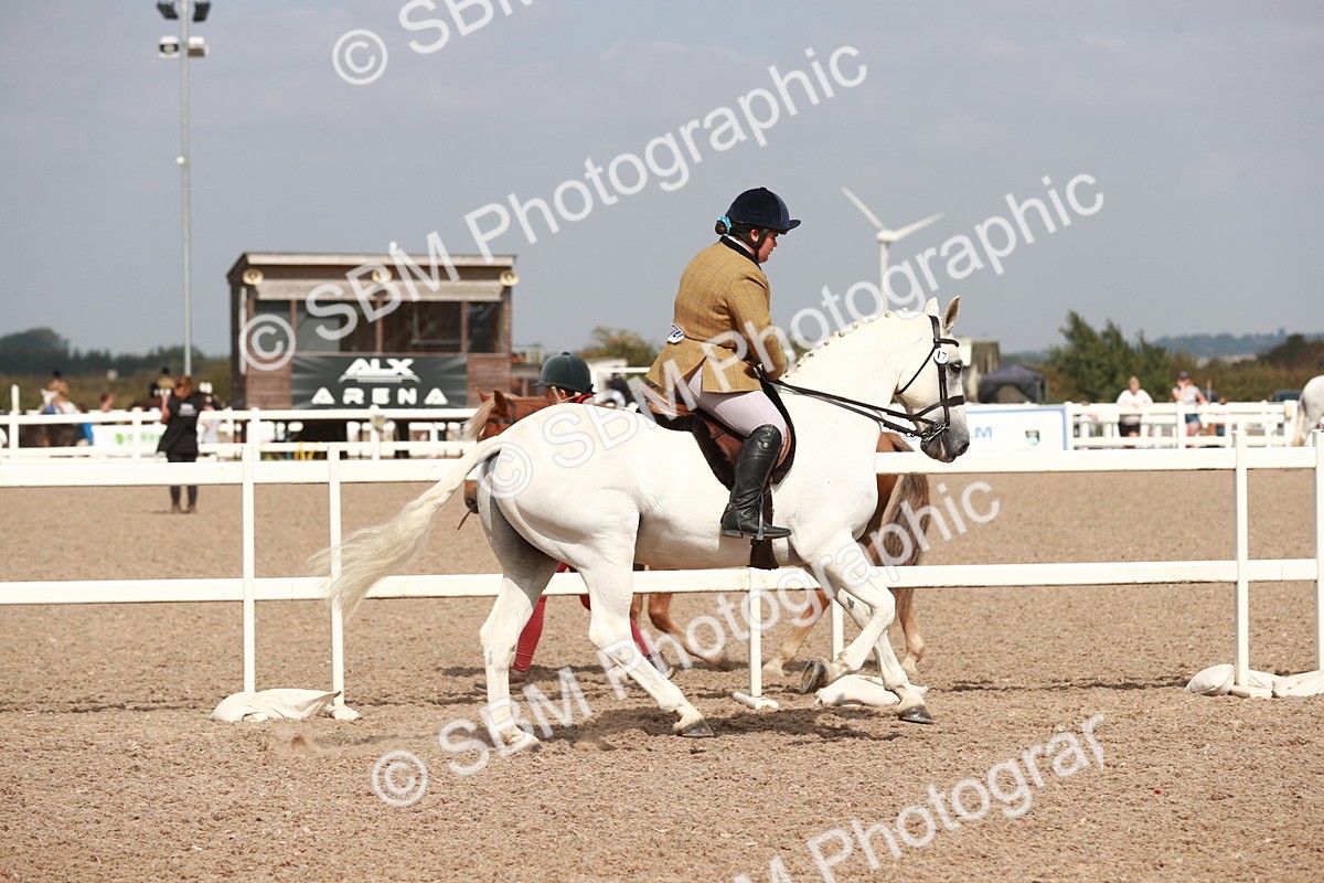 SBM_14824 - Class 212 Ridden Hunter - Small