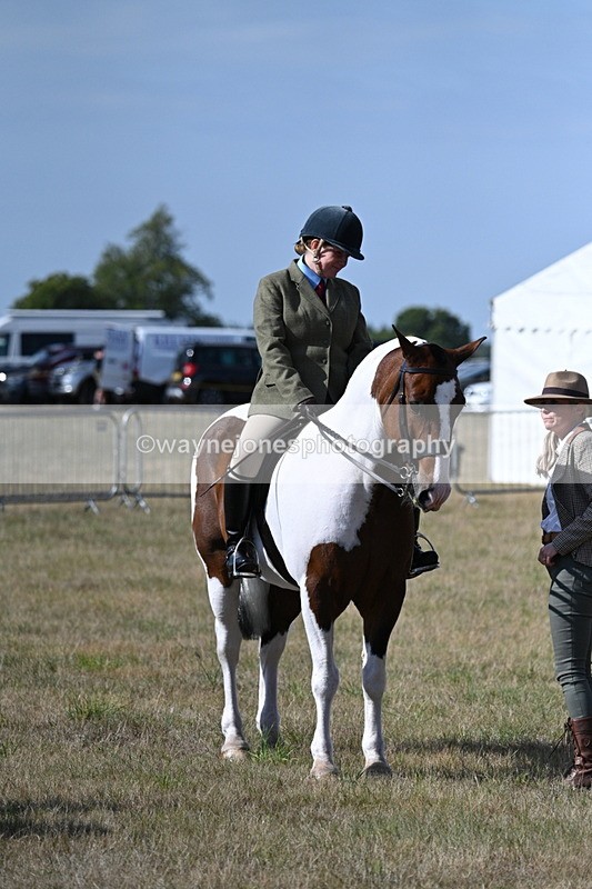 WJ7_2714 - Class 8 Ridden Tack & Turnout