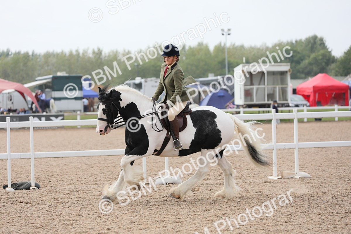 SBM_12807 - Class 307 Ridden Coloured Pony