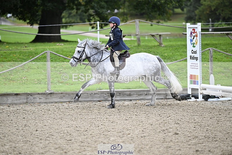 251005A-082106-02756 - Cls 01 GR 40cm