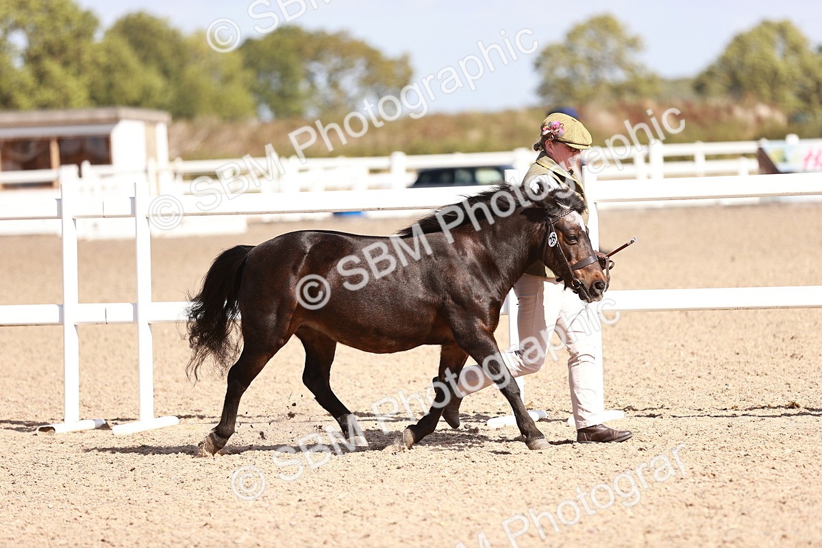 SBM_22960 - Class 707 - IH groom Helpers Class