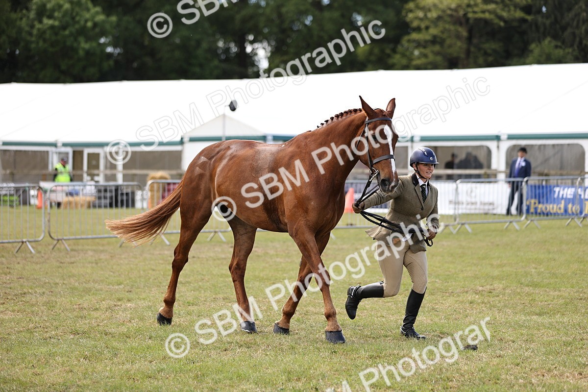 SBM_14751 - Class 88-89 - LIHS BSHA Rising Star of Ridden Hunter Type