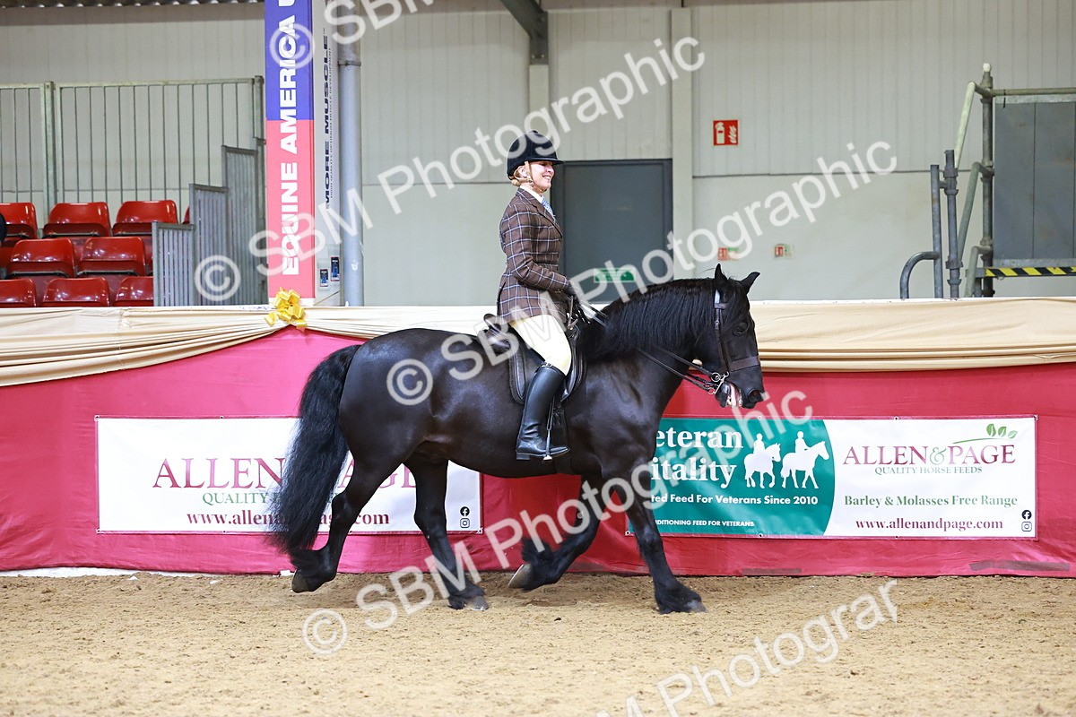 SBM_06167 - Class 12R - Ridden Pre-Vet