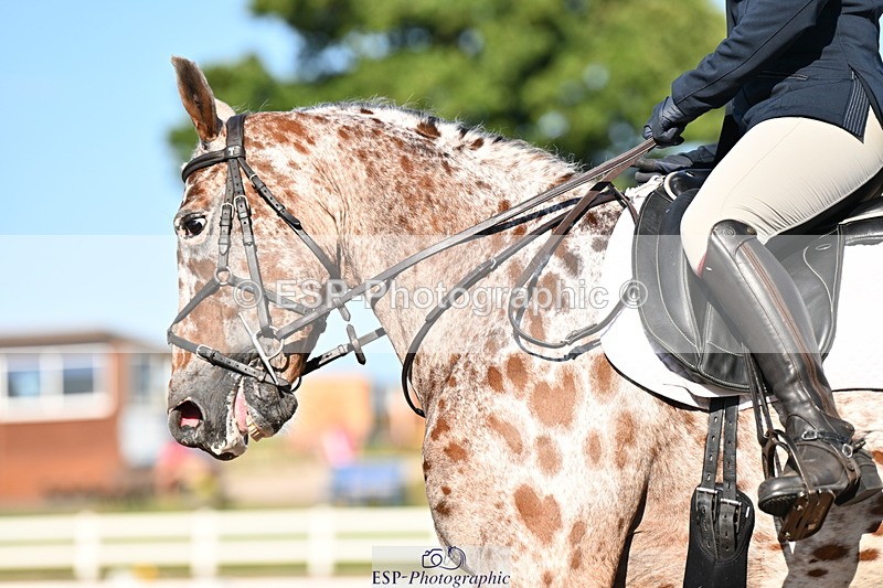 240816A-170026-06333 - 164-Emma.jane.Brown-JUBILEE.HARVEST