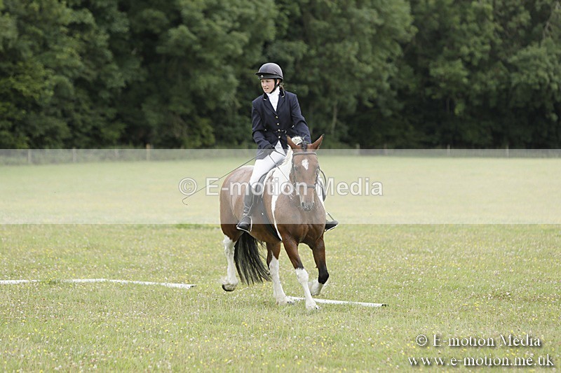 BVR160717-1375 - Class 3 Dressage 16/07/17