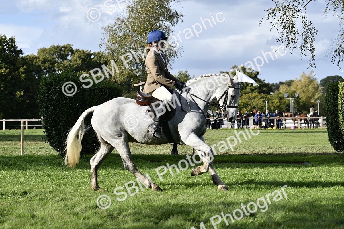 SBM_52212 - S35 - Working Hunter & Working Show Horse