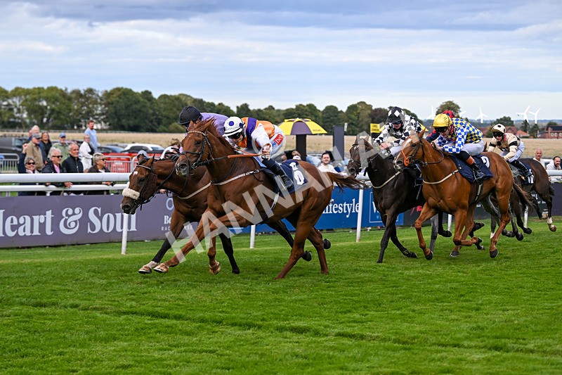 160926-Race 5-Call To Action-1027 - Race 5 4.18pm We Are Christmas Party Central Handicap