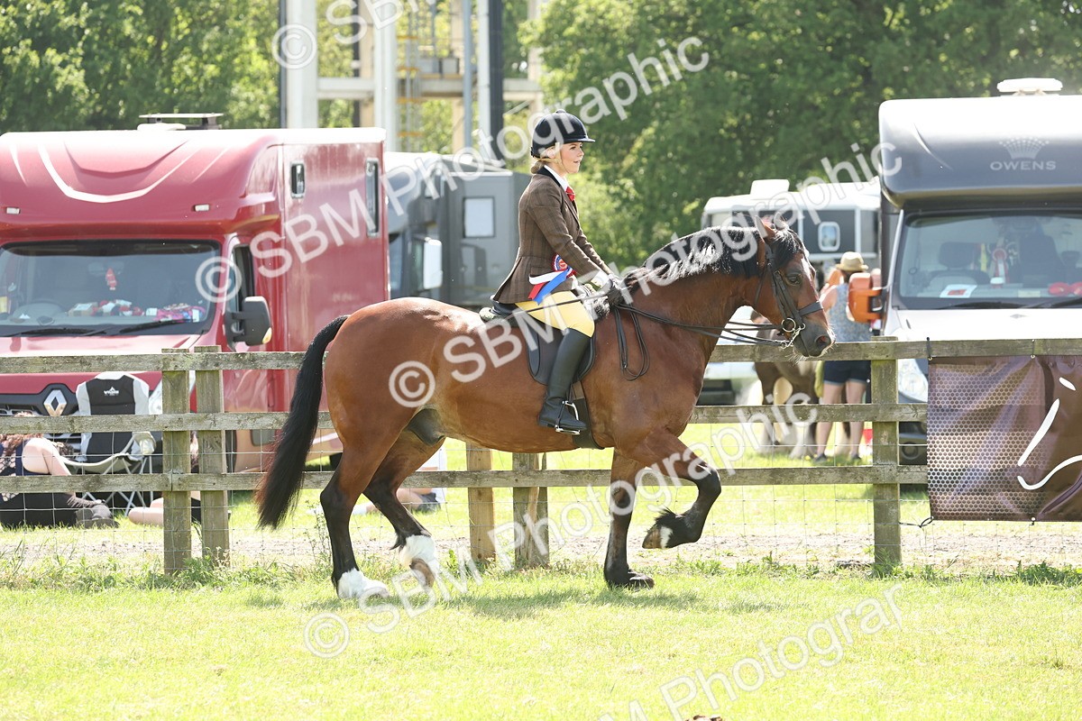 SBM_07747 - Class 26-30 - Mountain and Moorland Ridden