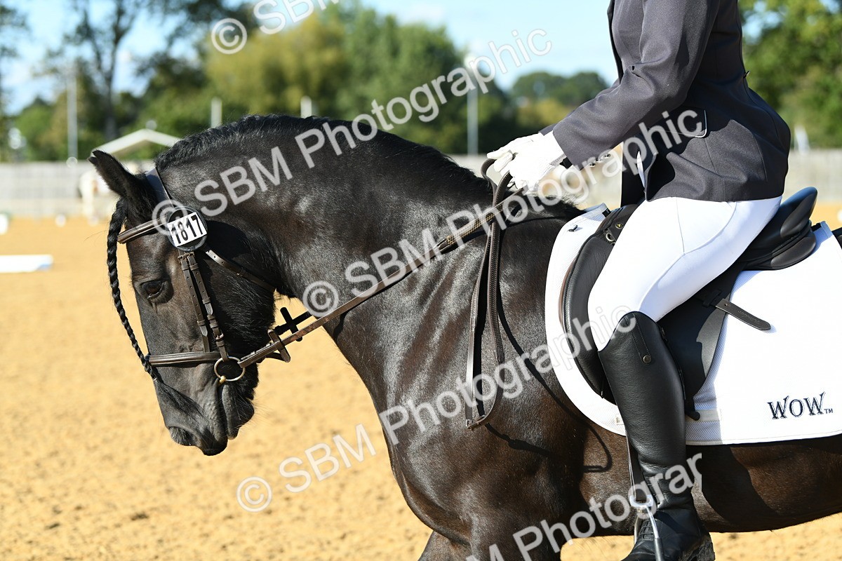 SBM_28444 - D16 - Small Tour Championship - Novice 28