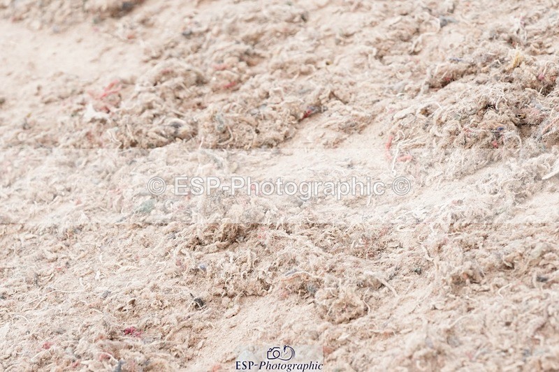 250503-104414-00520 - Cls 19+20 Club and Schools 70cm