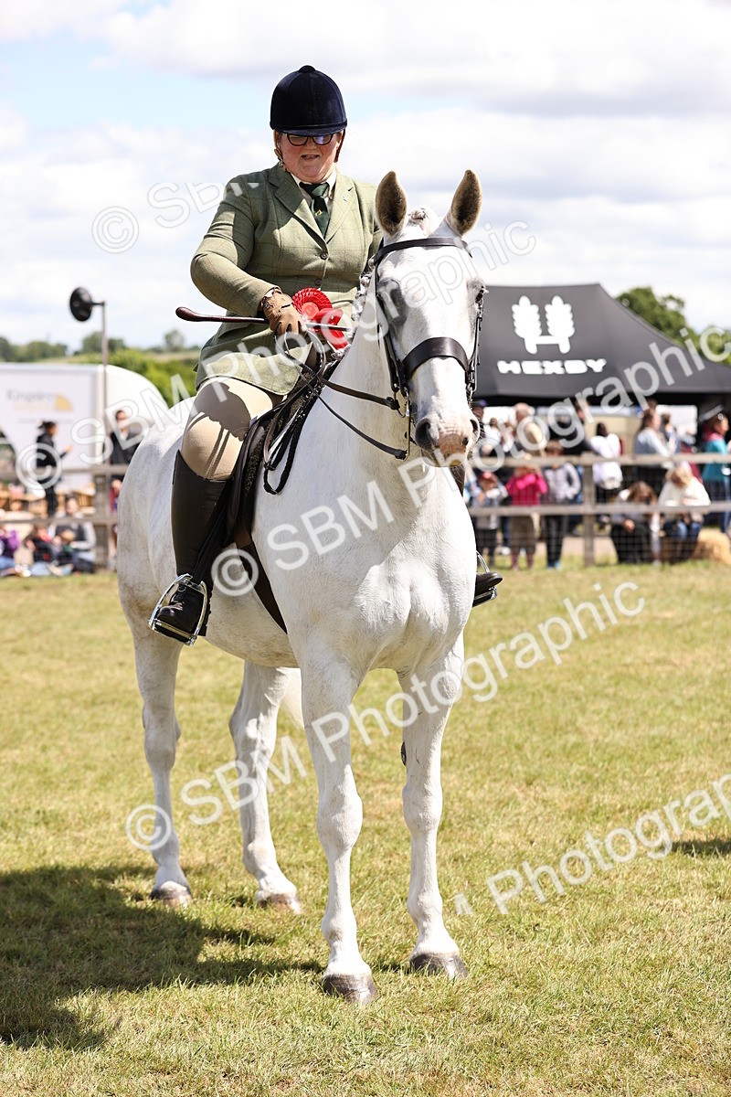 SBM_14758 - Class 88-89 - LIHS BSHA Rising Star of Ridden Hunter Type