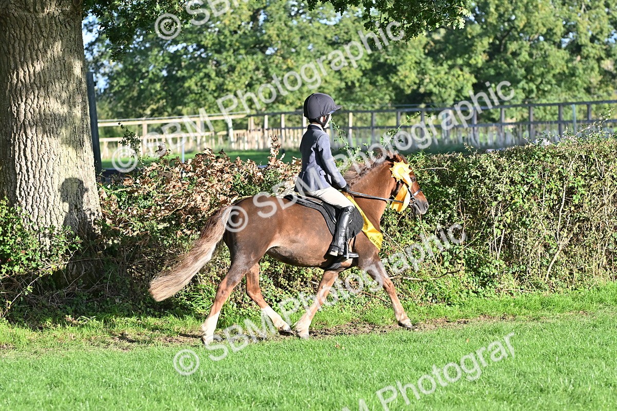 SBM_52289 - First Ridden Supreme Championship