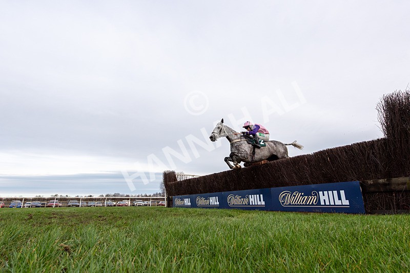 010126-Race 2-El Muchacho-4442 - Race 2