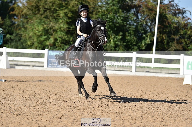 230903A-102730-03970 - Cls 18 Pony Brit Novice & 80cm Open