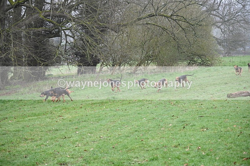 WJ6_9870 - Line 1 cam B