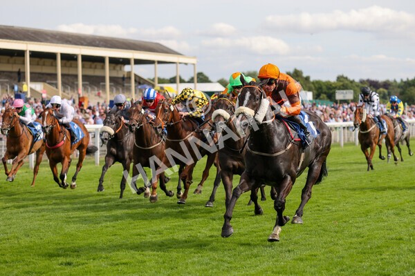 yr08072022r6-15 - Race 6 5.00pm Irish Thoroughbred Marketing Stakes
