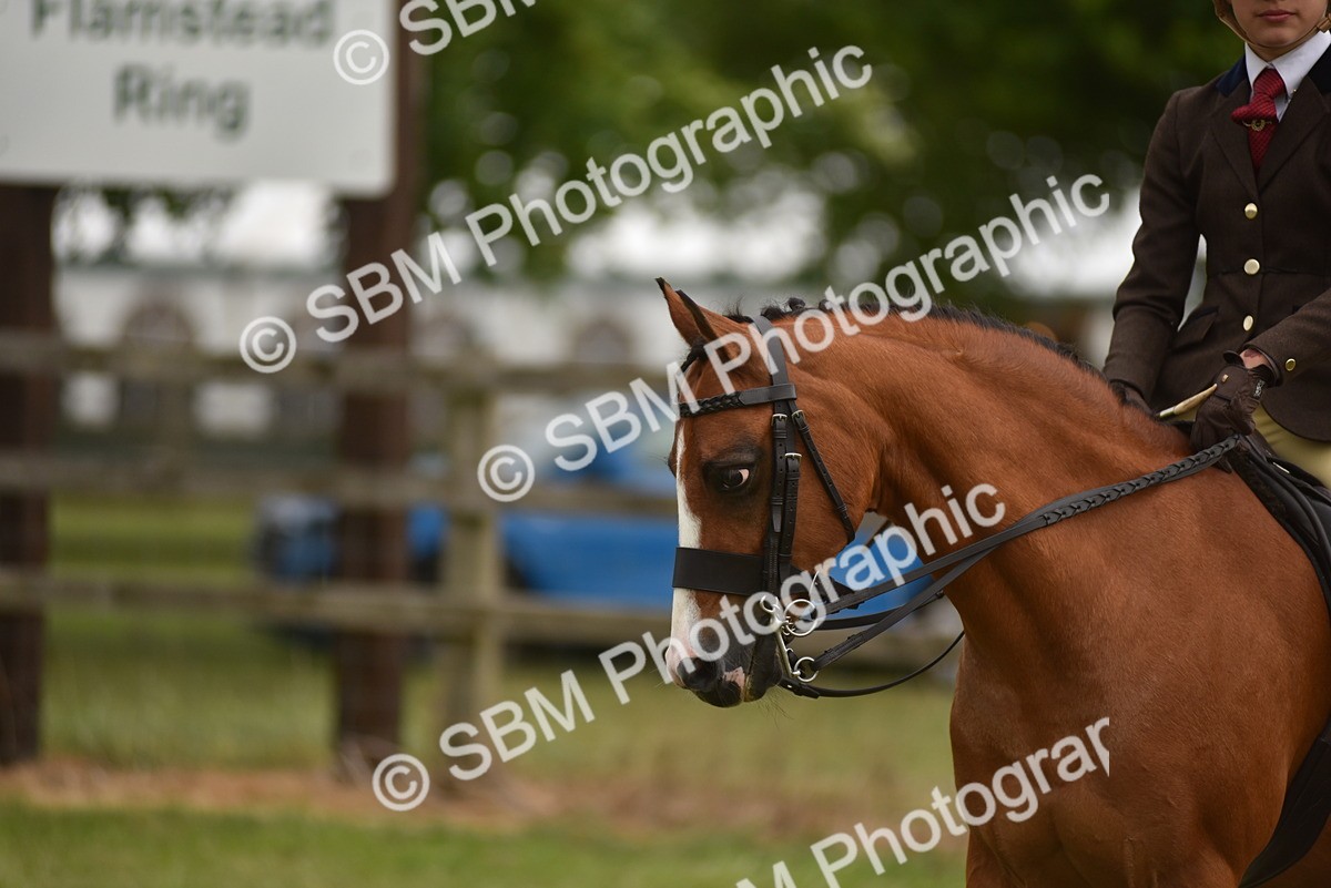 SBM_10725 - Class 110-112 - LIHS BSPS Performance Pones