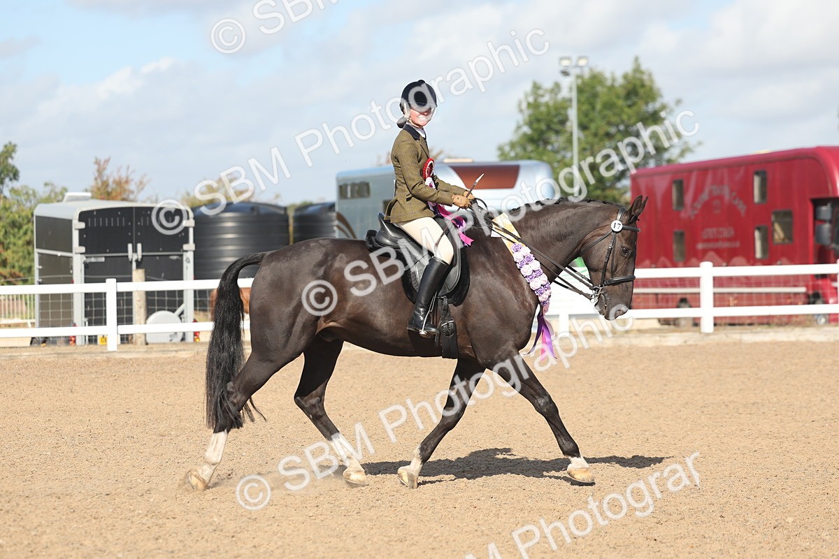 SBM_22698 - Class 805 - Ridden Veteran Horse