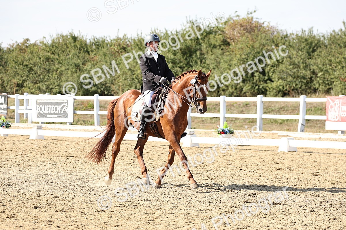 SBM_015354 - Class 9 - Advanced medium 3