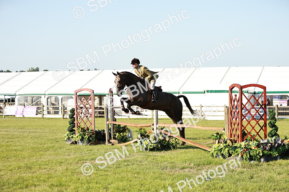 SBM_20151 - Class 117-119 - Sport Horse Working Hunter