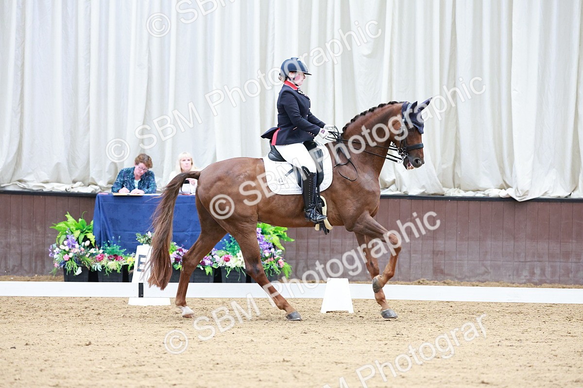 SBM_017936 - Class 15 - FEI Junior