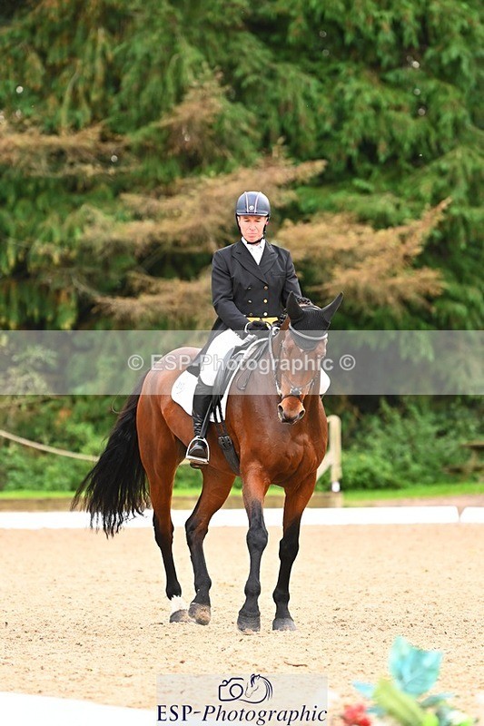 231020-152929-12009 - 313-CURTIS.DES.CHAUMES-Gilles.Serbource-DR