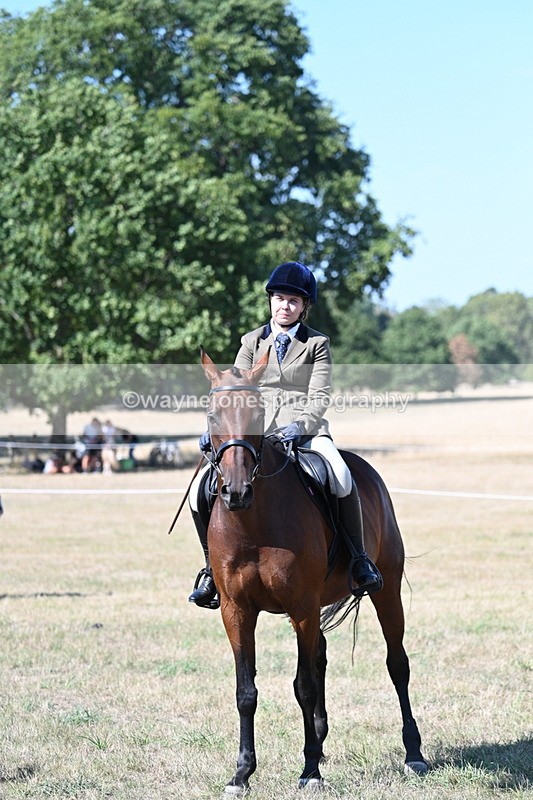 WJ7_1278 - Class 41 Prettiest Mare