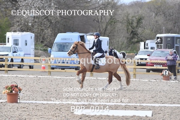 BPP_0014 - MY QUEST NOVICE 2