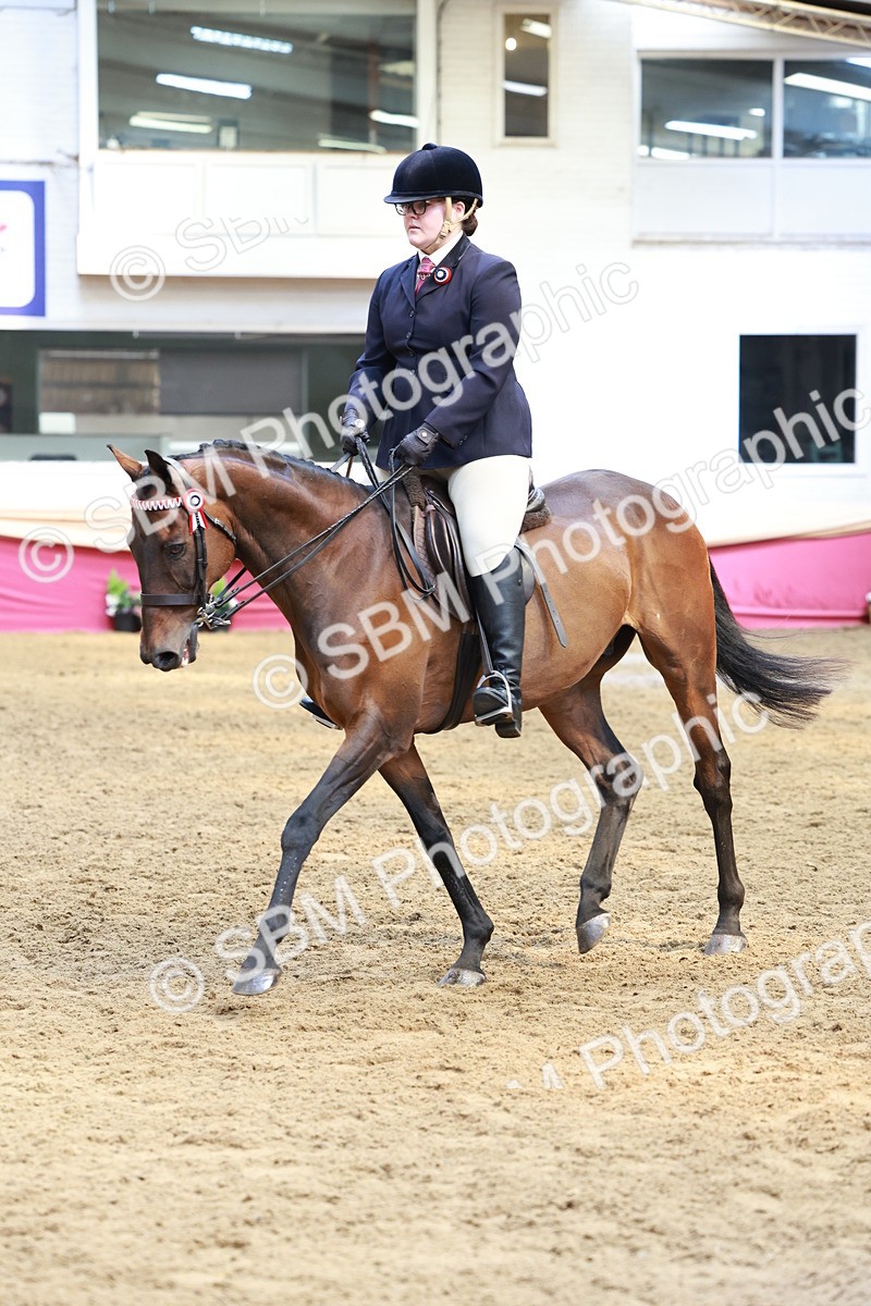 SBM_14904 - Class 108 - Ridden Retired Racehorse