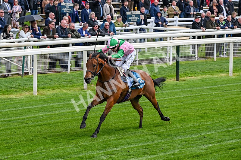 140526-Race 2-Jakajaro-0084 - Race 2 2.20pm Lindum York Handicap