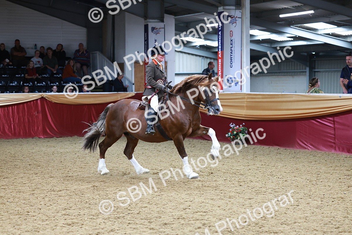 SBM_18918 - Class 952 - M&M Ridden Supreme Final