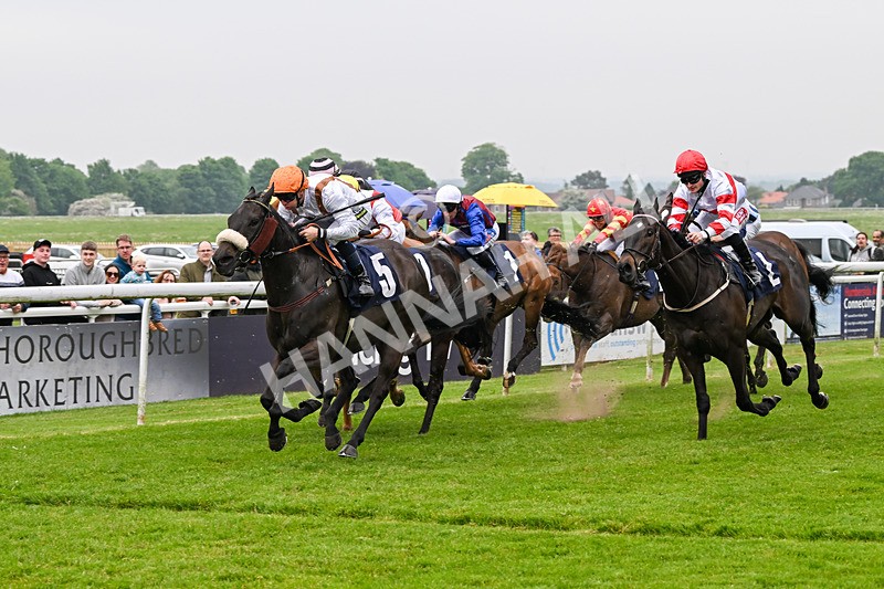 140524-Race 3-Emeralds Pride-1798 - Race 3