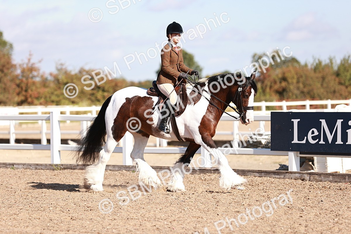 SBM_12458 - Class 403 - Grassroots Ridden - Junior