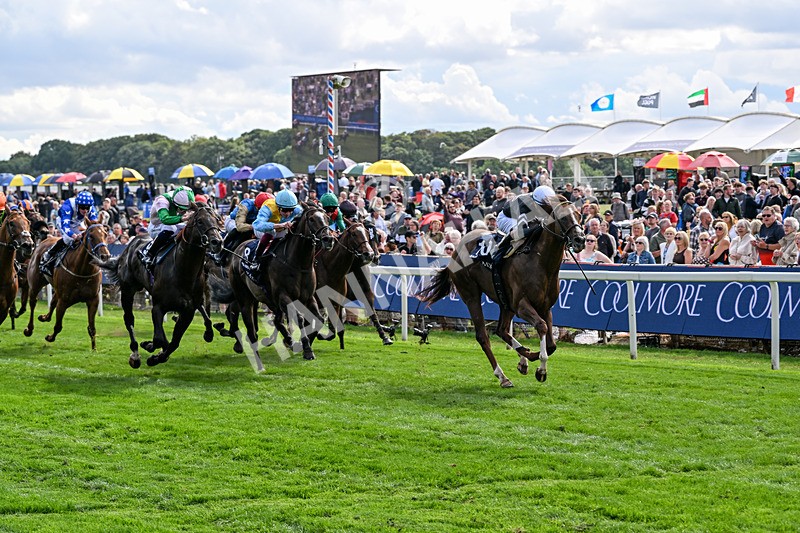 210826-Race 4-Bacio-6207 - Race 4 15.35pm Coolmore City Of Troy Nunthorpe Stakes